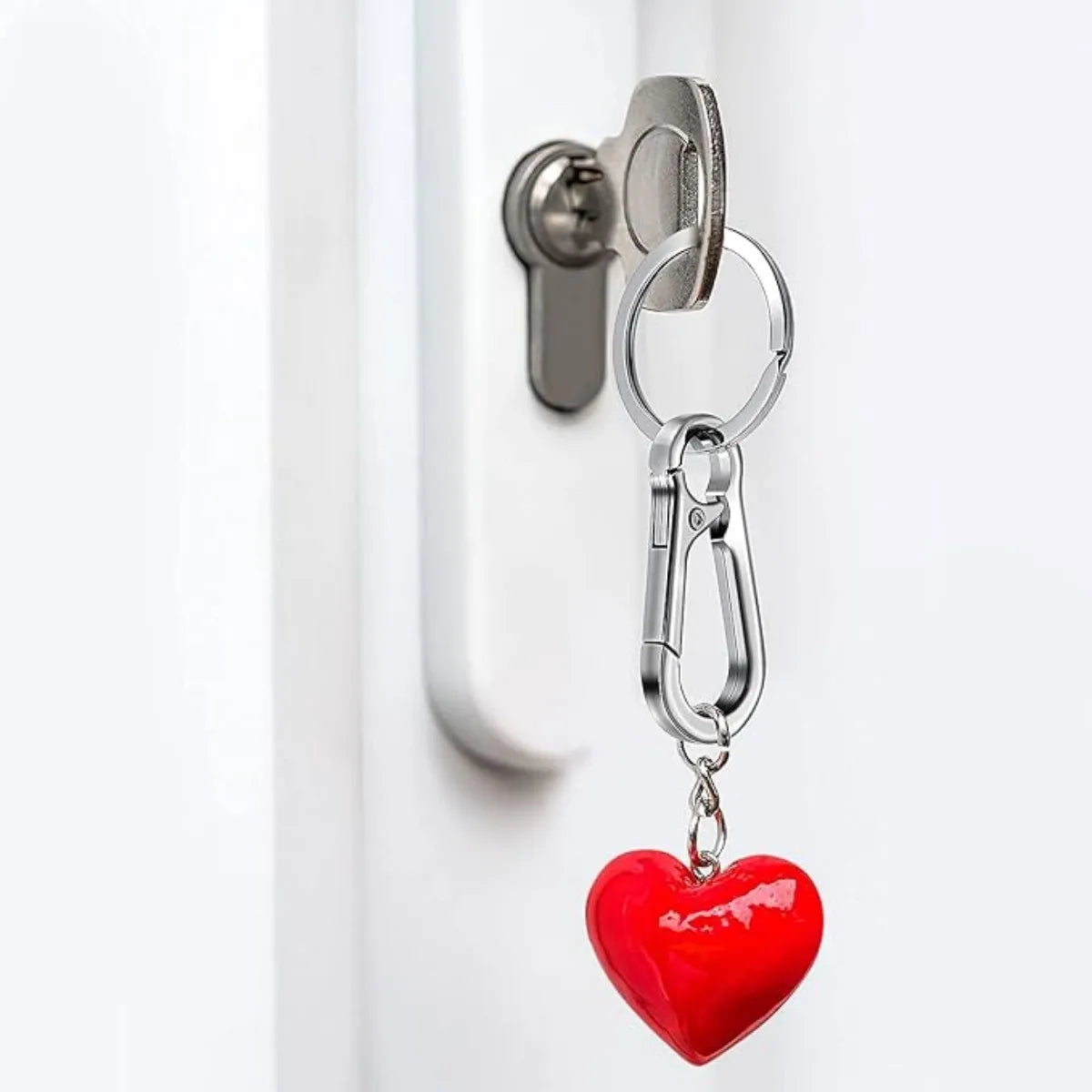 Carabiner Keychain Set