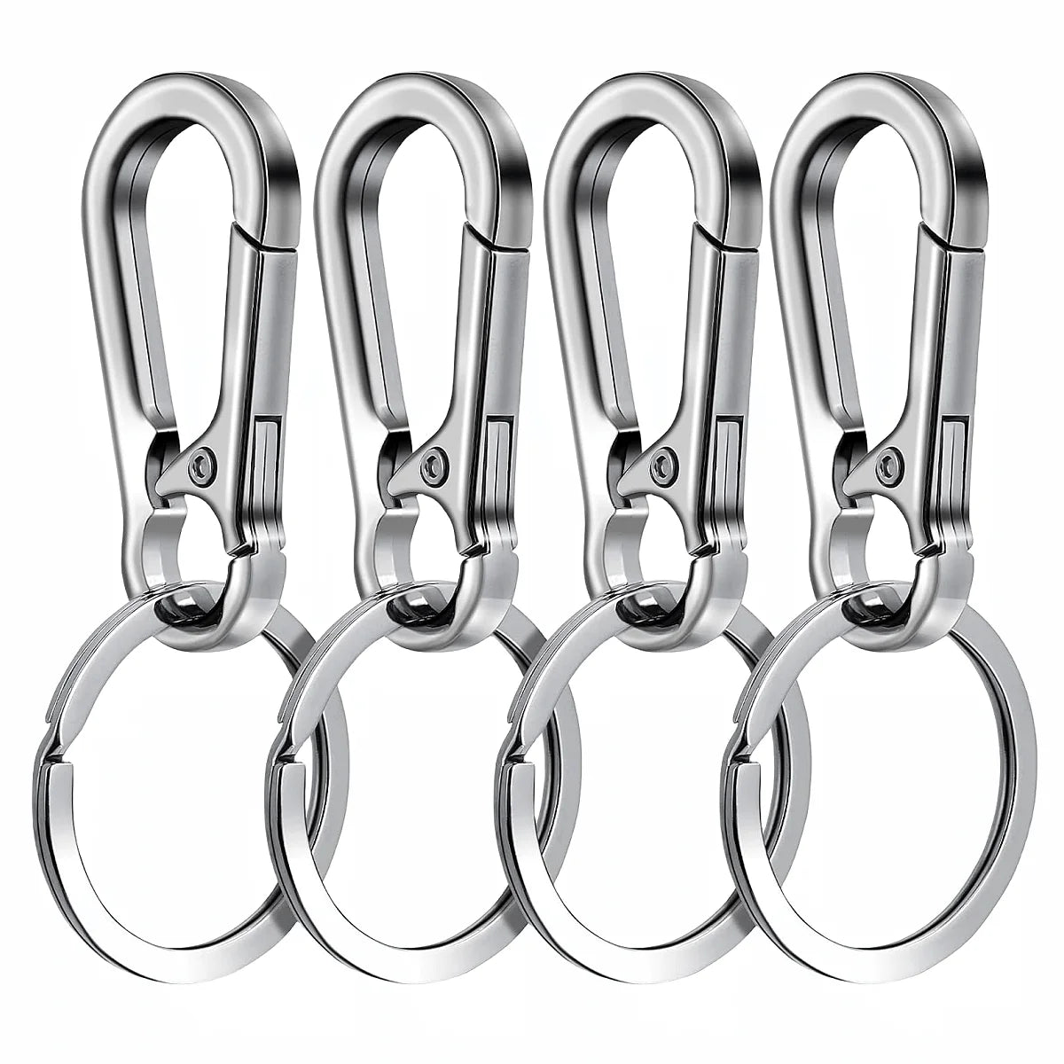Carabiner Keychain Set