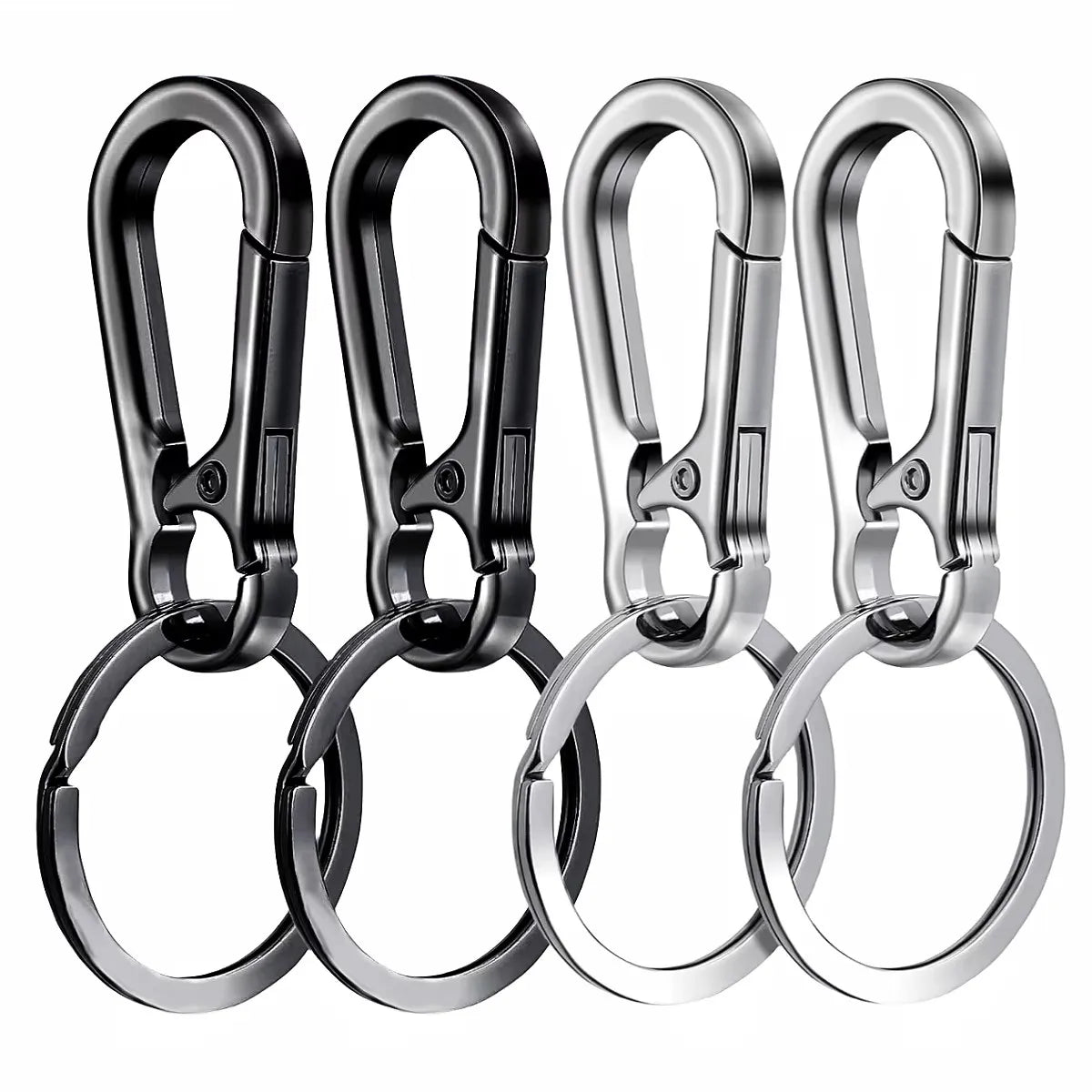 Carabiner Keychain Set